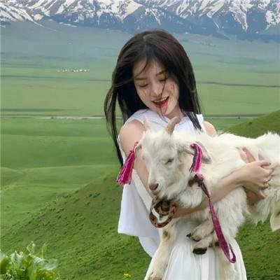 温德斯:狂野旅程